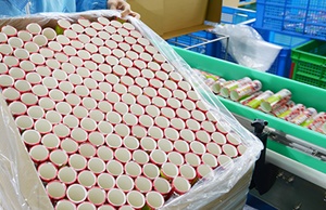 市面上紙罐包裝價(jià)格波動(dòng)大嗎？